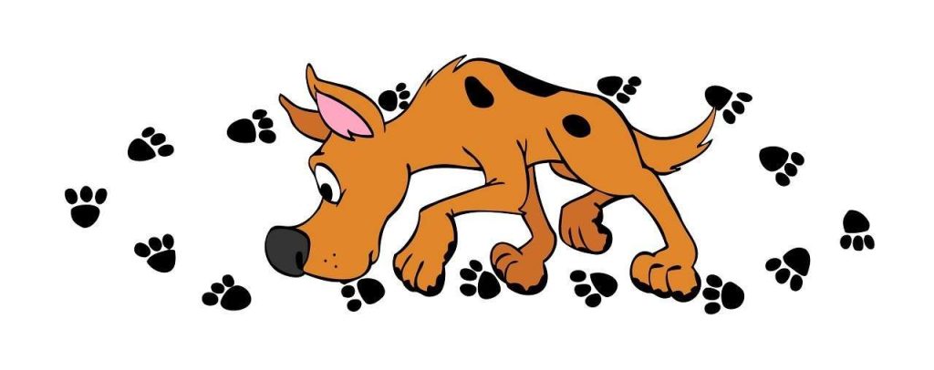 Why Choose Us banner dog paws - Why Choose Us - Golden Pet Life