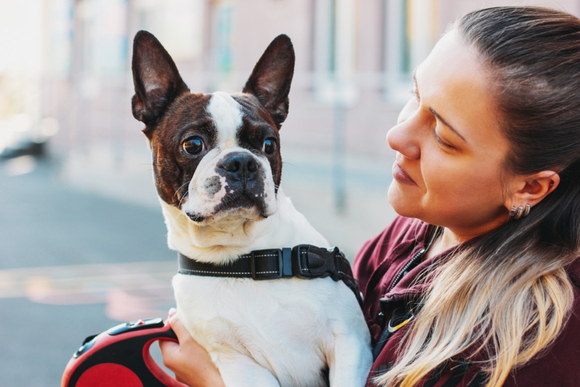 Dog Owner Giving CBD for Dogs with Separation Anxiety