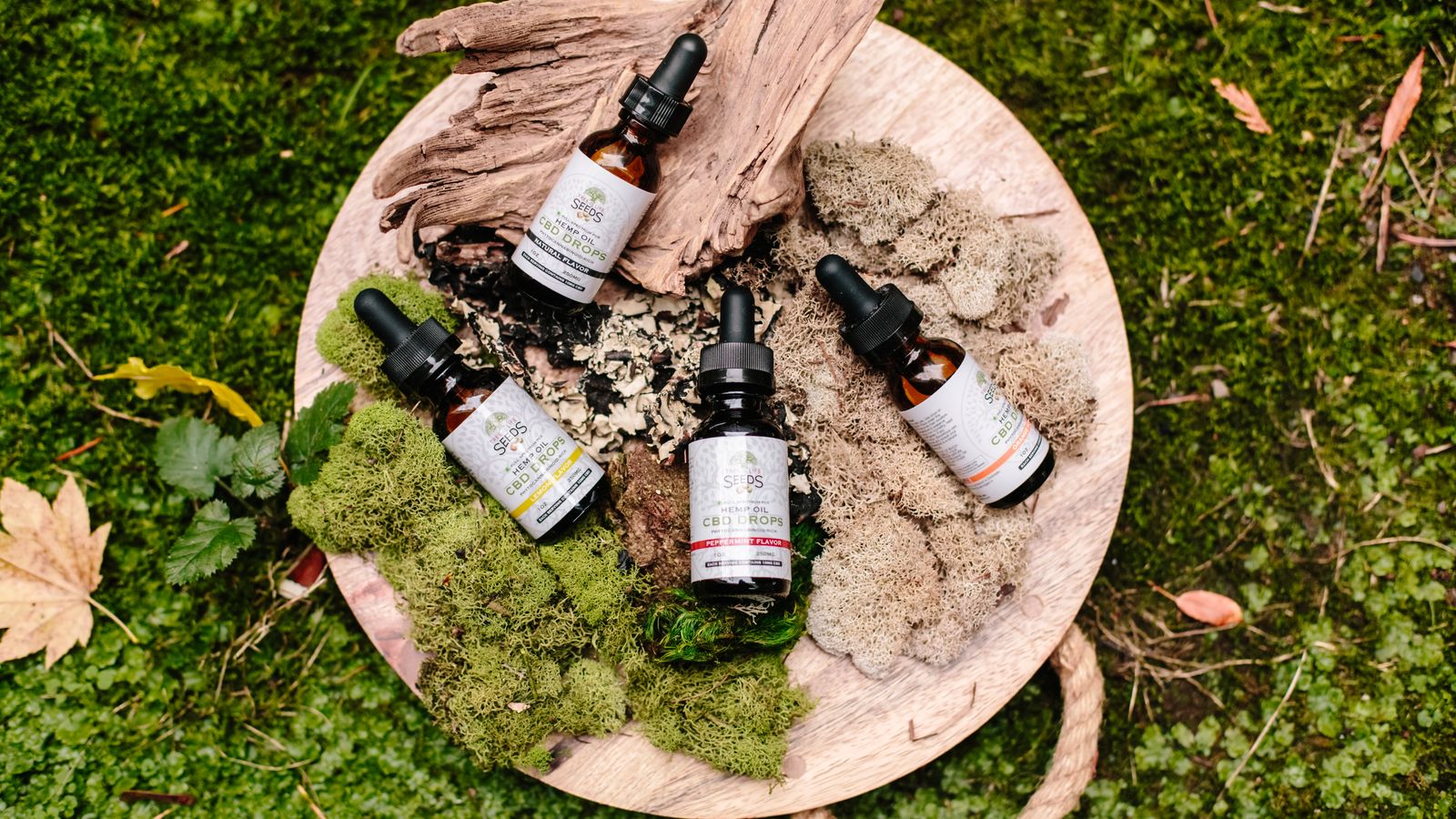 CBD oil bottles with droppers, comparing full spectrum and broad spectrum CBD for dogs